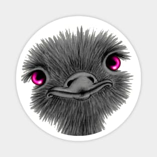 OSTRICH PINK - black card  by COLORBLIND WorldView Magnet